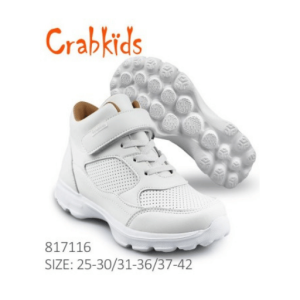 817116 Size 31-36